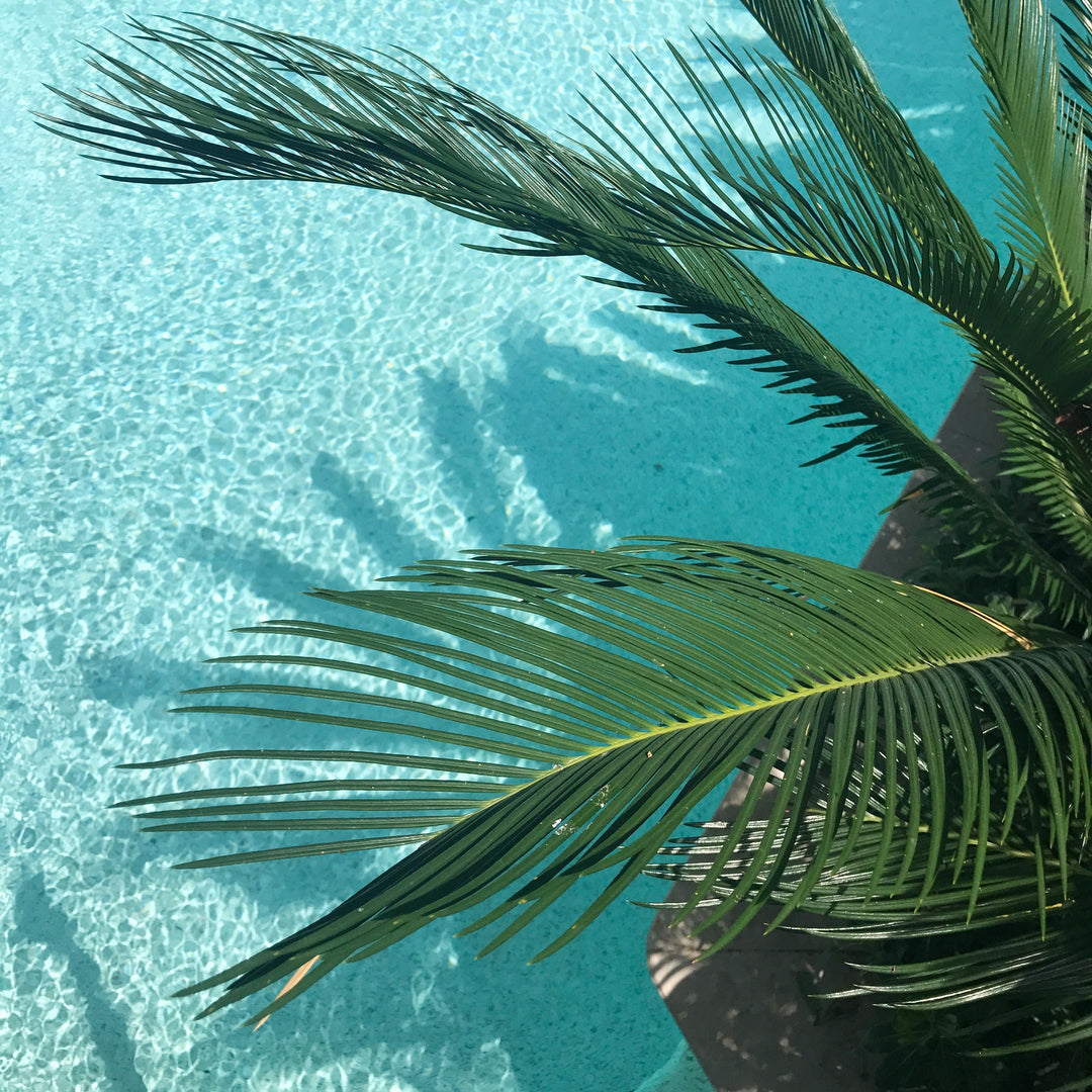 Summer Sunburn Prevention Tips